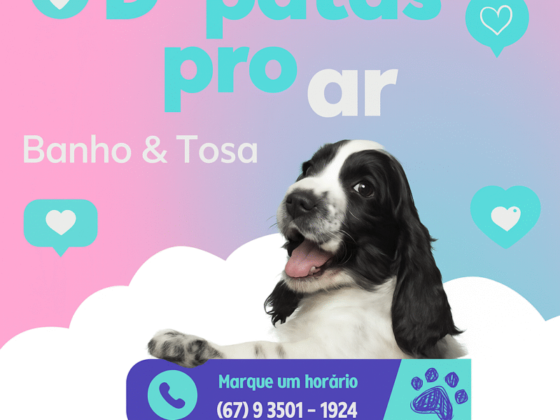 D'Patas Pro Ar – Banho e Tosa em Três Lagoas (MS)